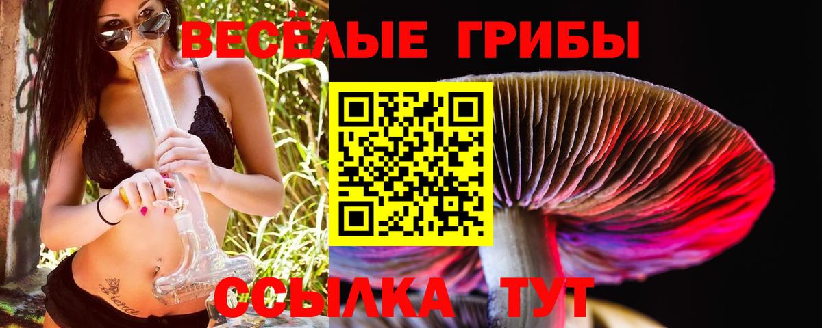 Галлюциногенные грибы Magic Shrooms Лесосибирск