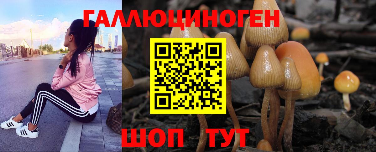 Псилоцибиновые грибы GOLDEN TEACHER  Вход с VPN  как найти   Лесосибирск 